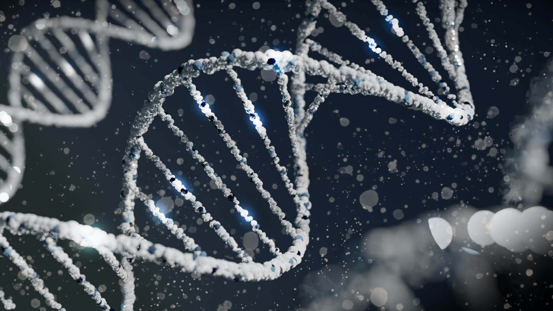 Genes and intelligence